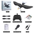 Z59 2Channel 2.4G Glider RC Airplane with Eagle Style Remote Control EPP Foam Drone Simple Control