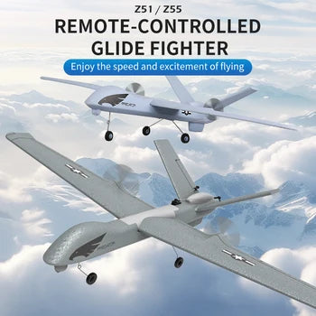 Z51 Predator RC Glider 2.4G 2CH EPP Foam RC Plane With LED Light Fixed