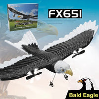 Thumbnail for Z59 2Channel 2.4G Glider RC Airplane with Eagle Style Remote Control EPP Foam Drone Simple Control