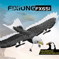 Thumbnail for Z59 2Channel 2.4G Glider RC Airplane with Eagle Style Remote Control EPP Foam Drone Simple Control