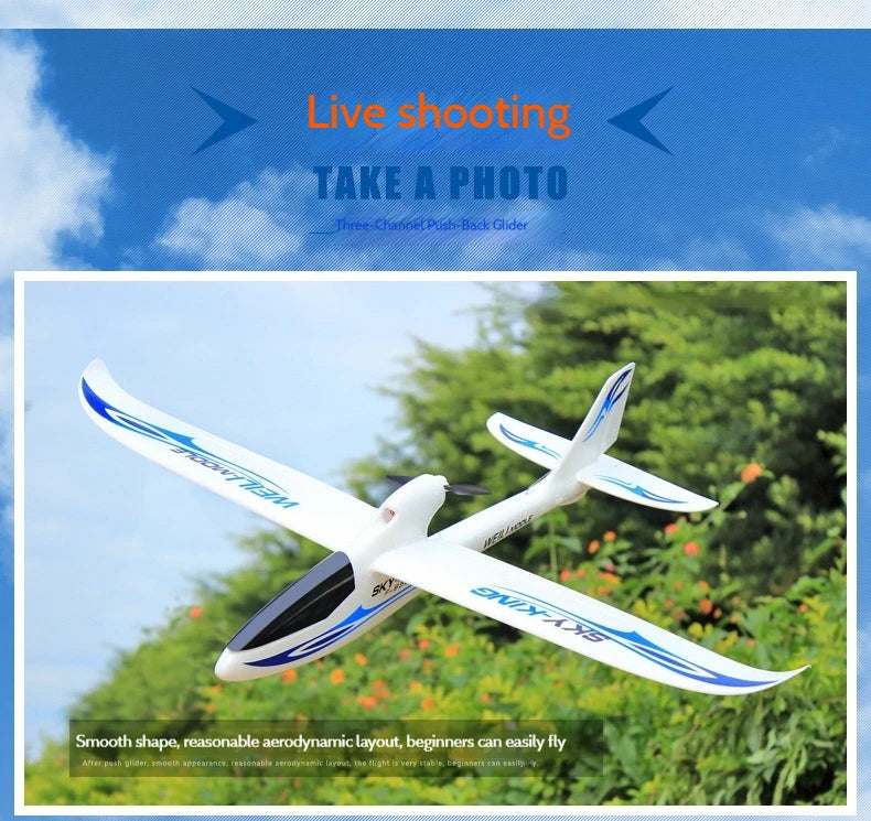 F959s Three-Channel Push-Back High-Speed Glider Six-Axis Gyroscope Remote Control Aircraft Plane Rc Model Toy