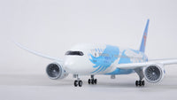 Thumbnail for China Southern Airlines Boeing 787 Airplane Model (1/130 Scale)