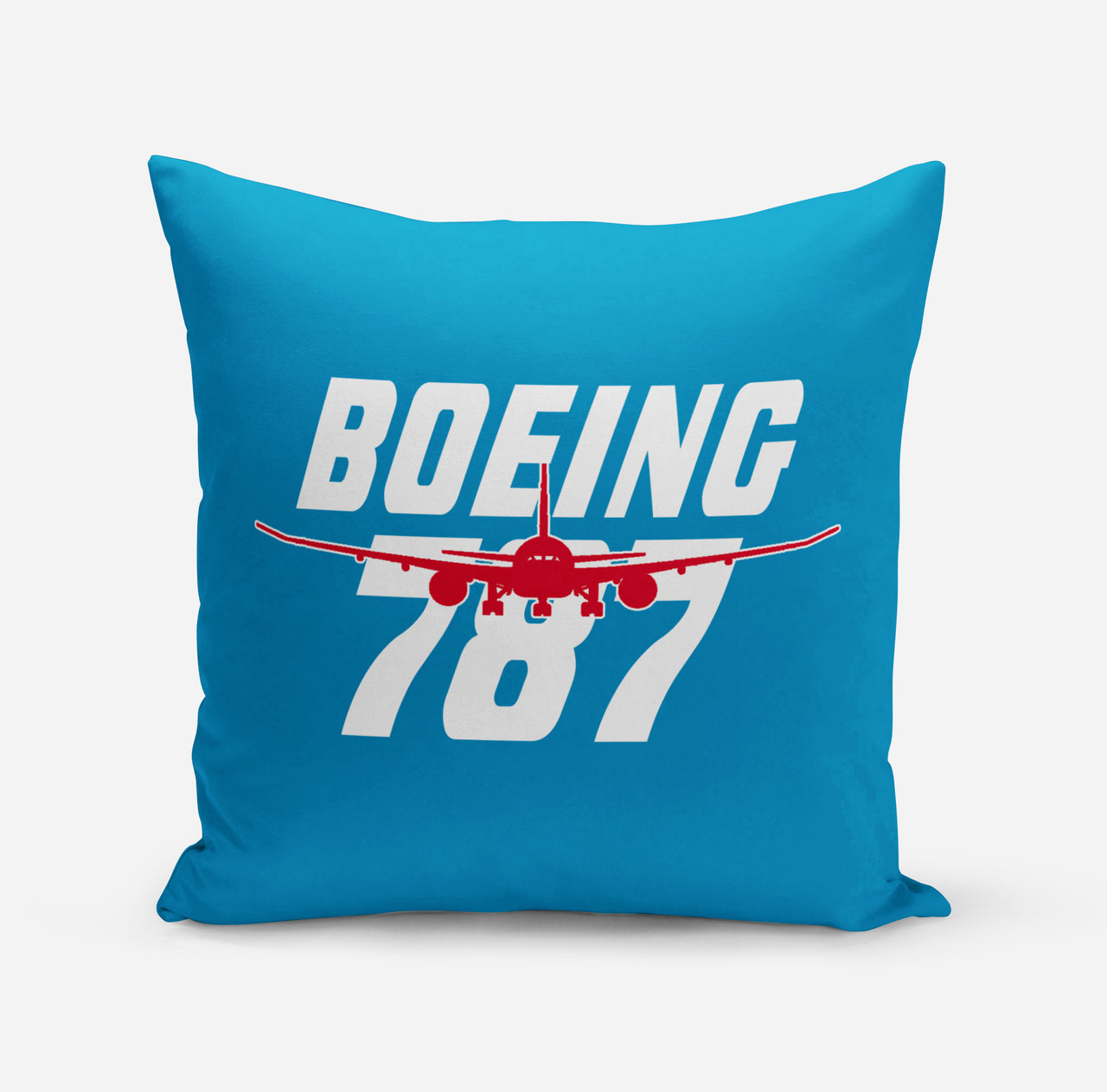 Amazing Boeing 787 Designed Pillows