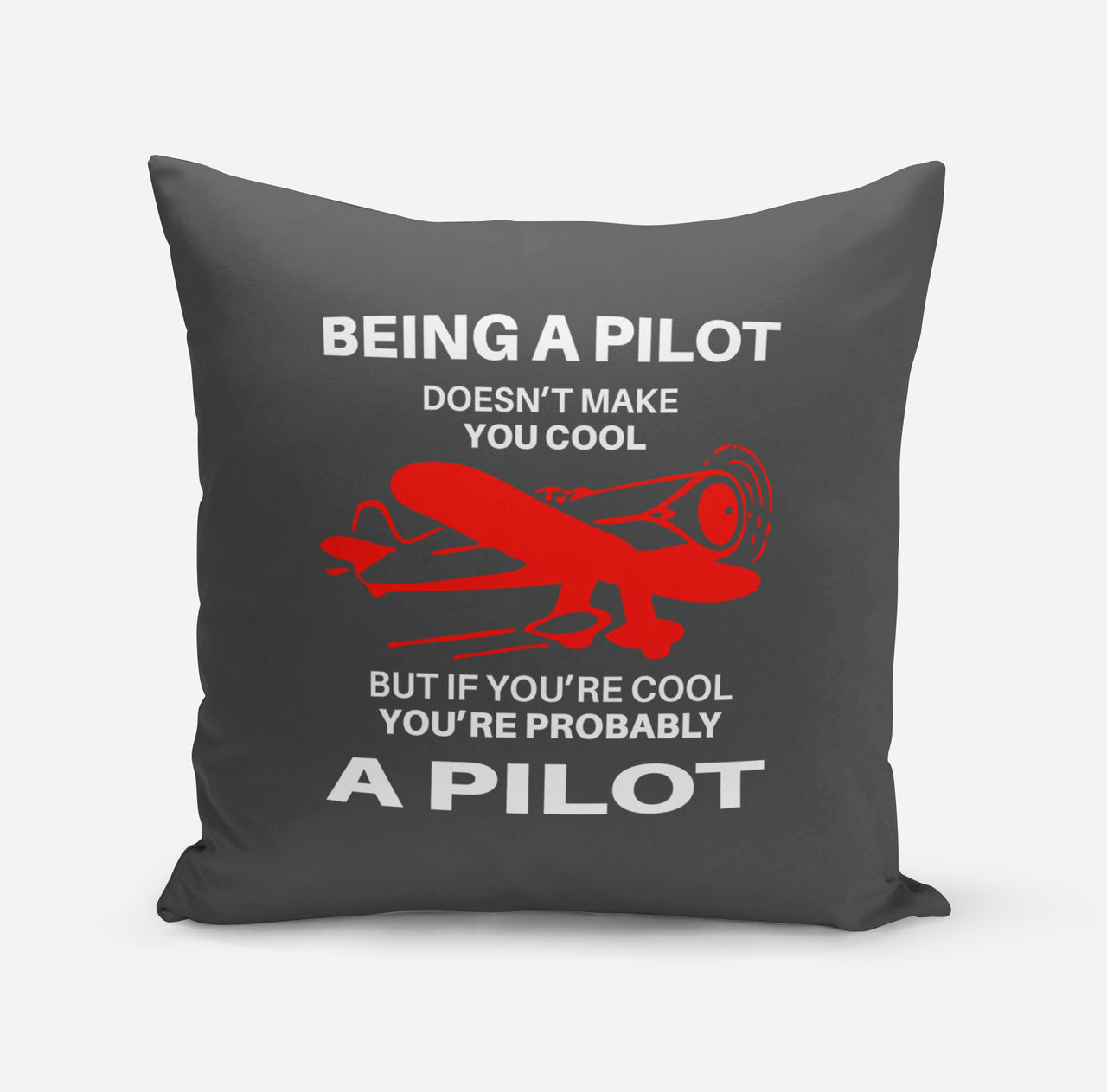 If You're Cool You're Probably a Pilot Designed Pillows