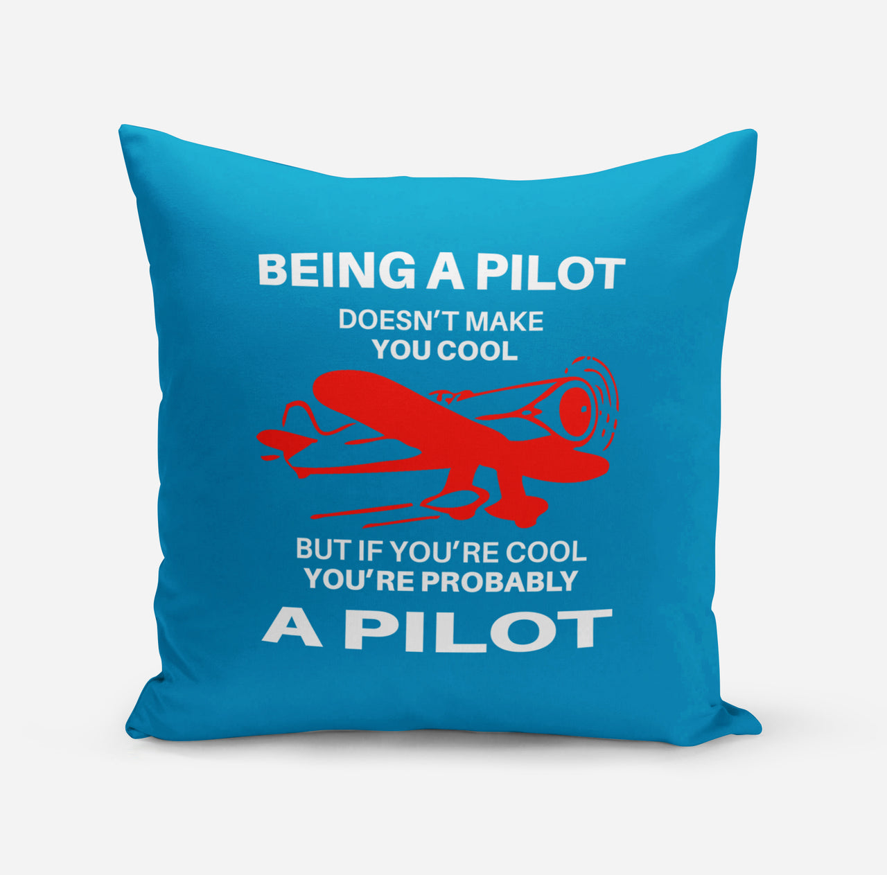 If You're Cool You're Probably a Pilot Designed Pillows