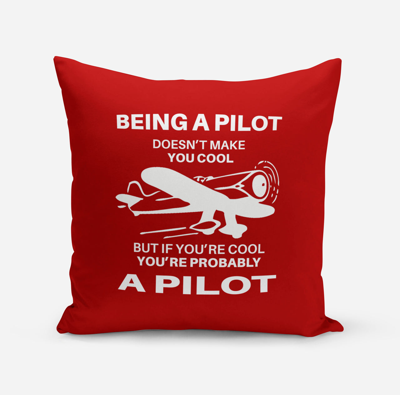 If You're Cool You're Probably a Pilot Designed Pillows