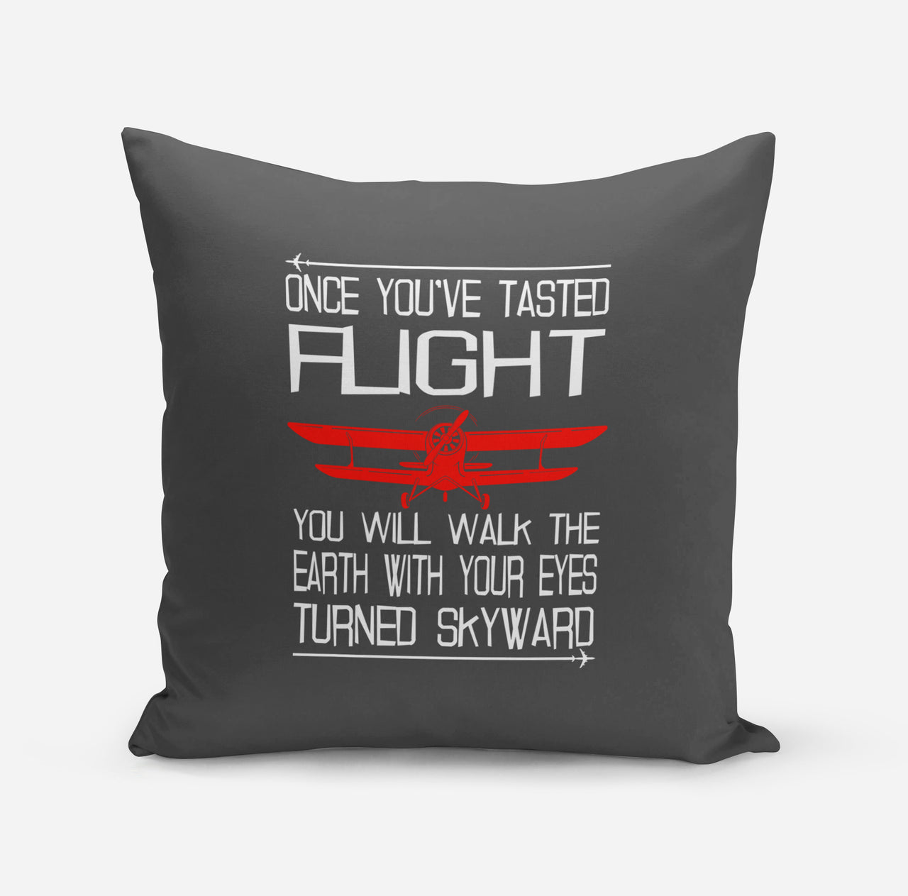 Once You've Tasted Flight Designed Pillows