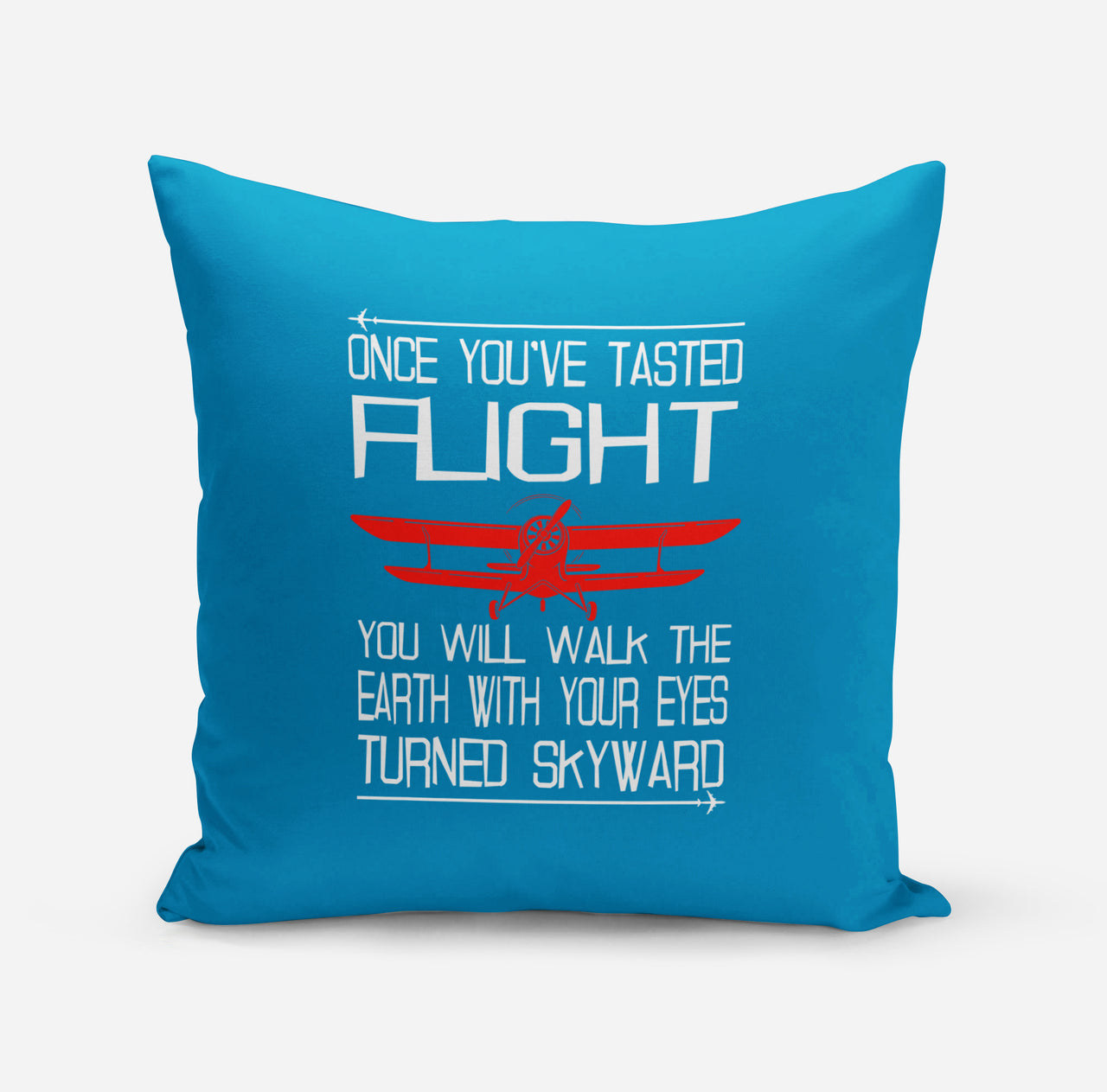 Once You've Tasted Flight Designed Pillows