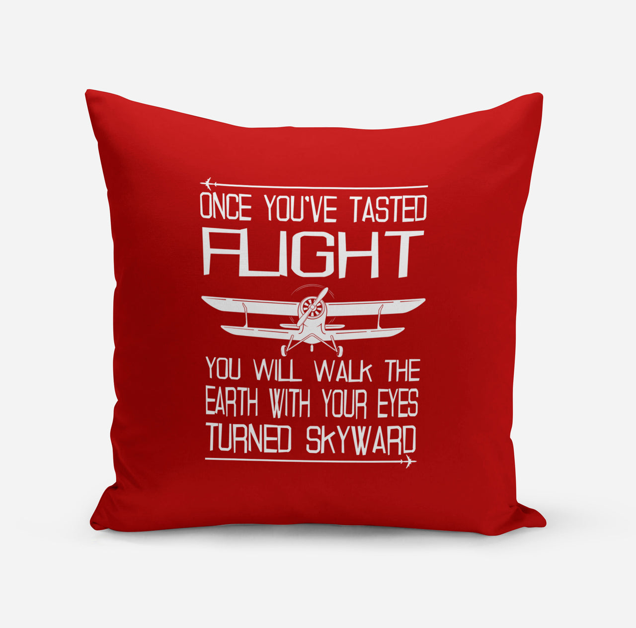 Once You've Tasted Flight Designed Pillows