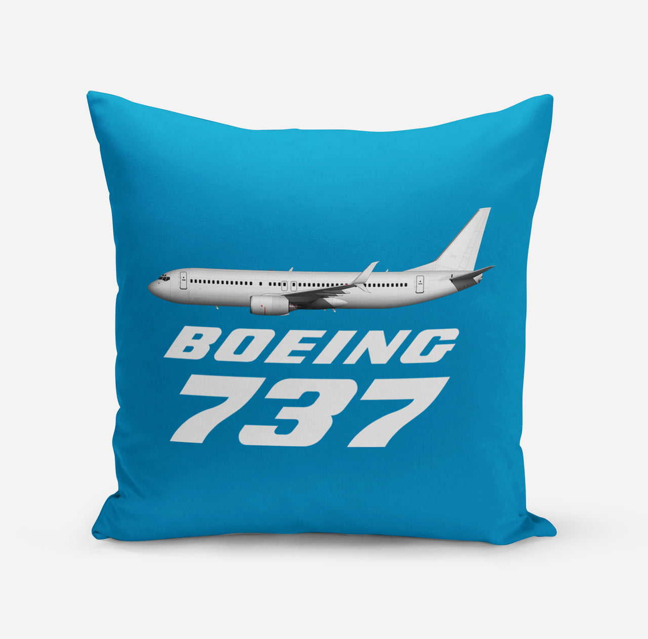 The Boeing 737 Designed Pillows