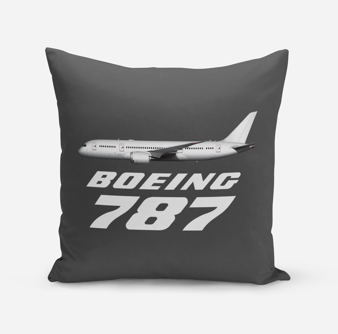 The Boeing 787 Designed Pillows