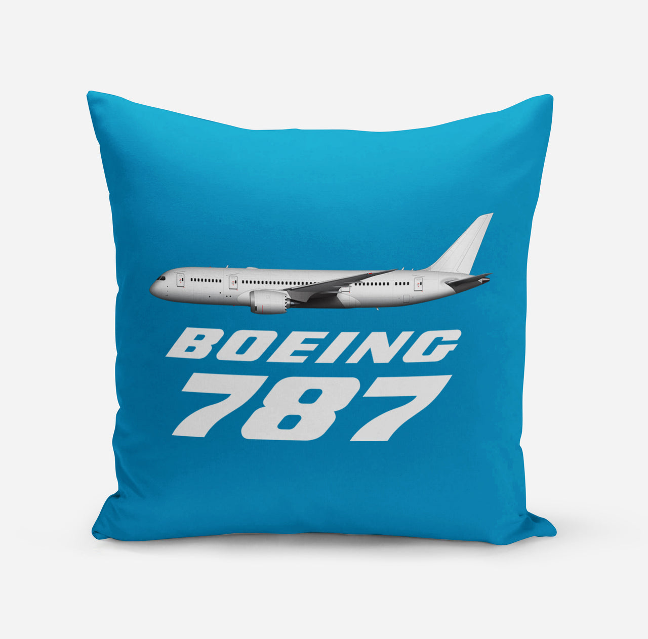 The Boeing 787 Designed Pillows